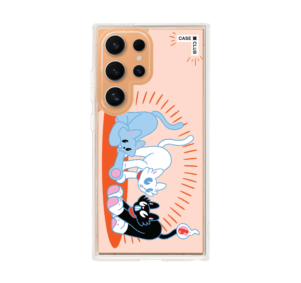 พลังแมวมารวมตัว